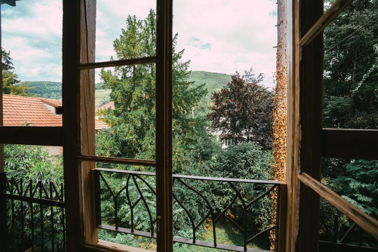Apartament Domaine Boheme I Art De Vivre Guebwiller Zewnętrze zdjęcie